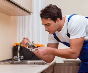 About Emergency plumbing pros Cherry Tree, PA